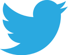 Twitter_bird_logo_2012.svg (1)
