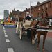SDF Parade horse start